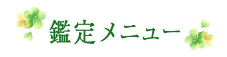 鑑定メニュー
